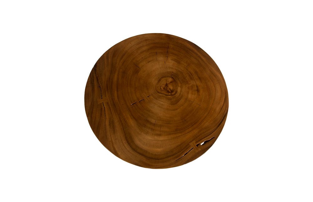 Phillips Collection - Chuleta Bar Table on Black Metal Base, Chamcha Wood, Natural - TH97700 view 2