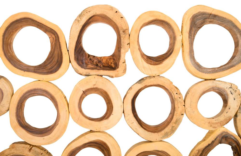 Phillips Collection - Chuleta Rings Wall Art, Chamcha Wood, Rectangular - TH72023 veiw 3