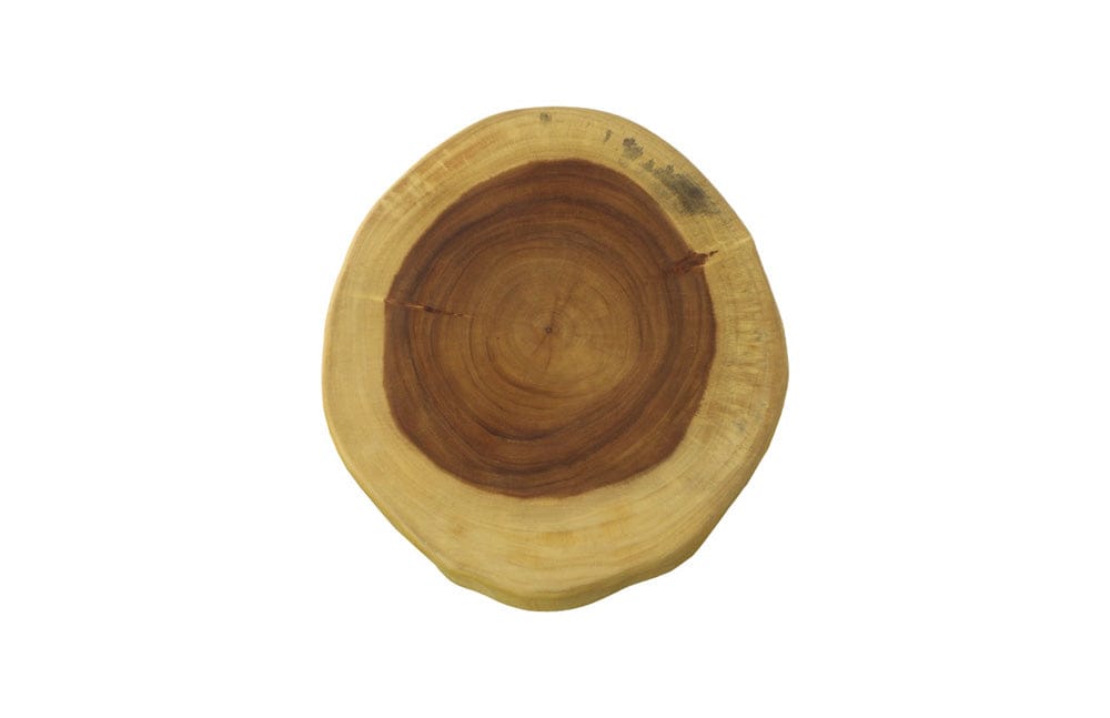 Phillips Collection - Chuleta Round Bar Stool, Natural - TH109886 view 2