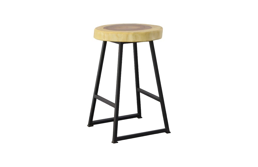 Phillips Collection - Chuleta Round Bar Stool, Natural - TH109886 view 3
