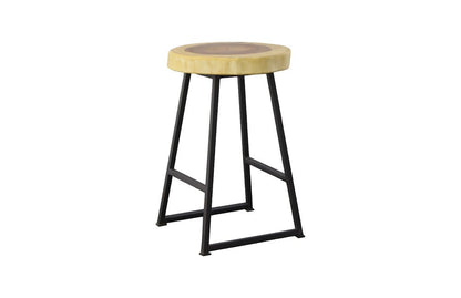 Phillips Collection - Chuleta Round Bar Stool, Natural - TH109886 view 3