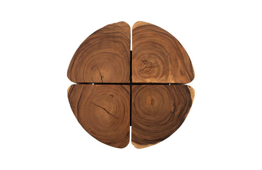 Phillips Collection - Clover Coffee Table, Natural - TH105244 view 2
