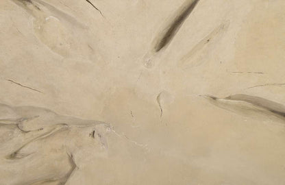 Phillips Collection - Colossal Freeform Wall Art, Large, Roman Stone - PH84320 veiw 3