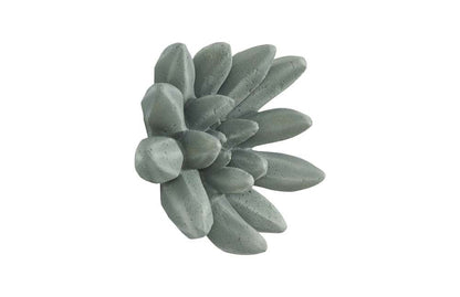 Phillips Collection - Compactum Succulent Wall Art, Forest - PH104157 veiw 2