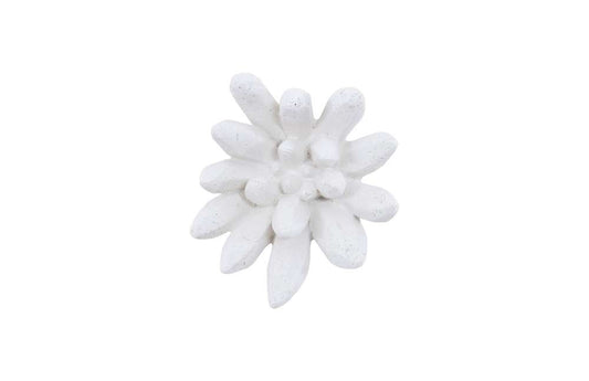 Phillips Collection - Compactum Succulent Wall Art, White Stone - PH104156 veiw 1