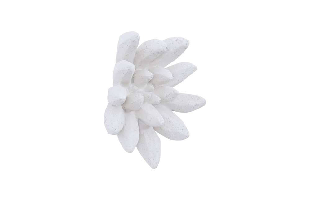 Phillips Collection - Compactum Succulent Wall Art, White Stone - PH104156 veiw 2