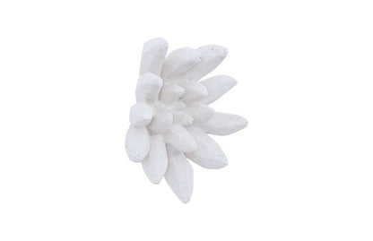 Phillips Collection - Compactum Succulent Wall Art, White Stone - PH104156 veiw 2