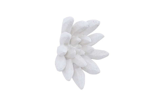 Phillips Collection - Compactum Succulent Wall Art, White Stone - PH104156 veiw 2