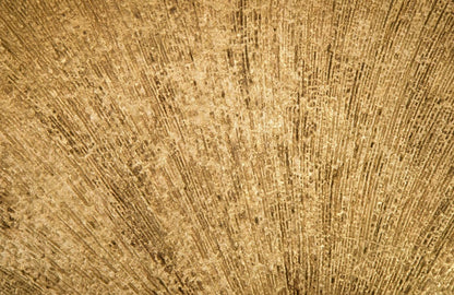 Phillips Collection - Convergence Mirror, Resin, Gold Leaf - PH97018 view 2