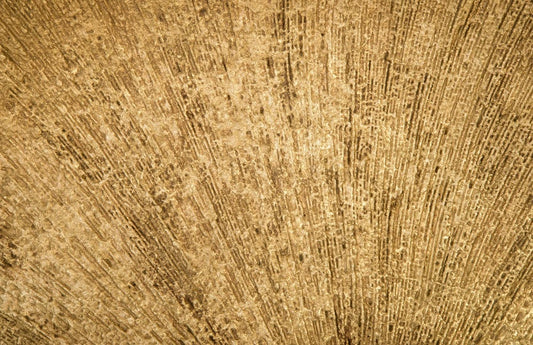 Phillips Collection - Convergence Mirror, Resin, Gold Leaf - PH97018 view 2