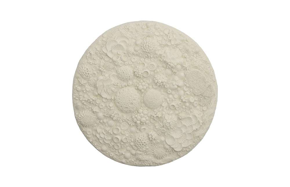 Phillips Collection - Coral Reef Wall Art, Round - PH112039 veiw 1