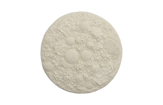 Phillips Collection - Coral Reef Wall Art, Round - PH112039 veiw 1