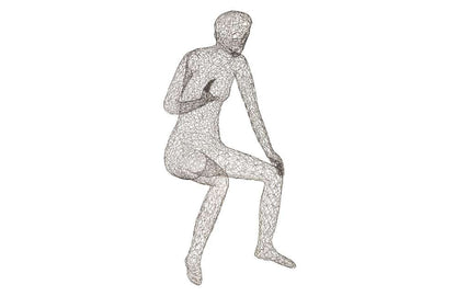 Phillips Collection - Crazy Wire Lounging Female - CH64907 veiw 1