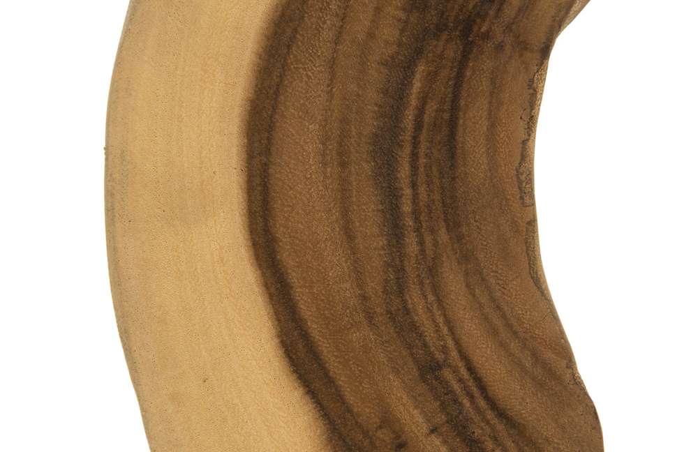 Phillips Collection - Creature Sculpture on Stand, Natural - TH54014 veiw 2