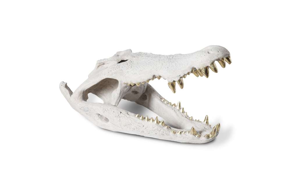 Phillips Collection - Crocodile Skull, Roman Stone, Gold Leaf - PH56708 veiw 1
