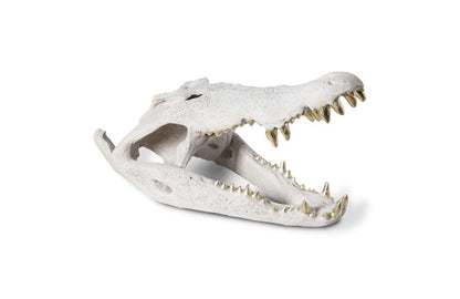 Phillips Collection - Crocodile Skull, Roman Stone, Gold Leaf - PH56708 veiw 1