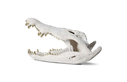 Phillips Collection - Crocodile Skull, Roman Stone, Gold Leaf - PH56708 veiw 2