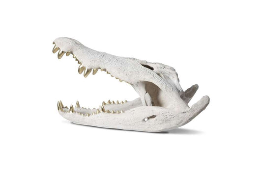 Phillips Collection - Crocodile Skull, Roman Stone, Gold Leaf - PH56708 veiw 2