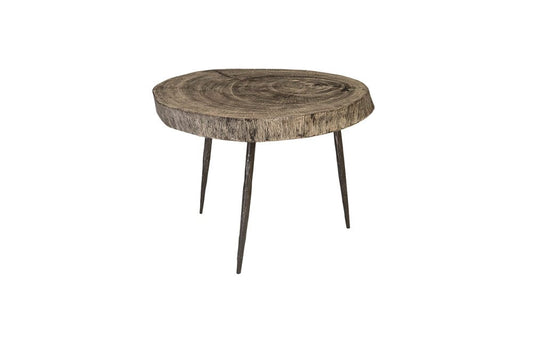 Phillips Collection - Crosscut Side Table, Gray Stone, Forged Legs - TH85174 view 1
