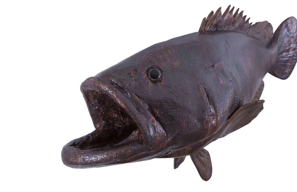 Phillips Collection - Estuary Cod Fish Wall Sculpture, Resin, Copper Patina Finish - PH100656 veiw 3