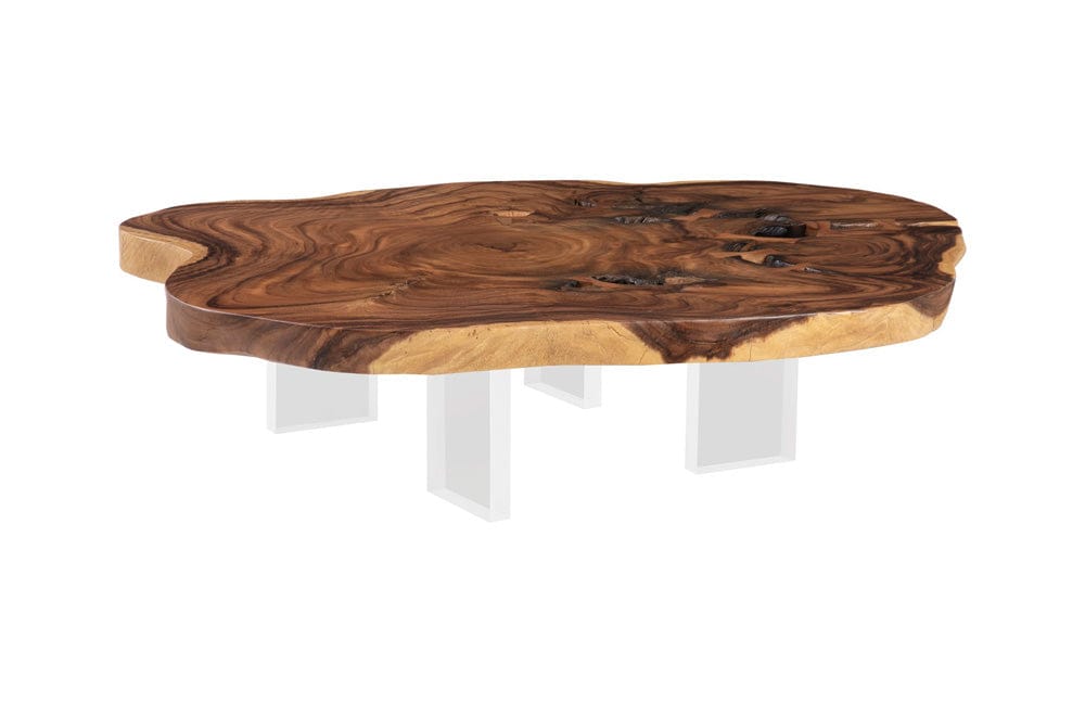 Phillips Collection - Floating Coffee Table with Acrylic Legs, Natural, Assorted - TH103469 view 1