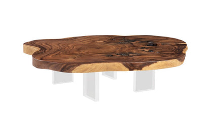 Phillips Collection - Floating Coffee Table with Acrylic Legs, Natural, Assorted - TH103469 view 1