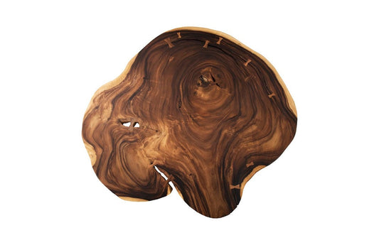 Phillips Collection - Floating Coffee Table with Acrylic Legs, Natural, Size Varies - TH69602 view 2