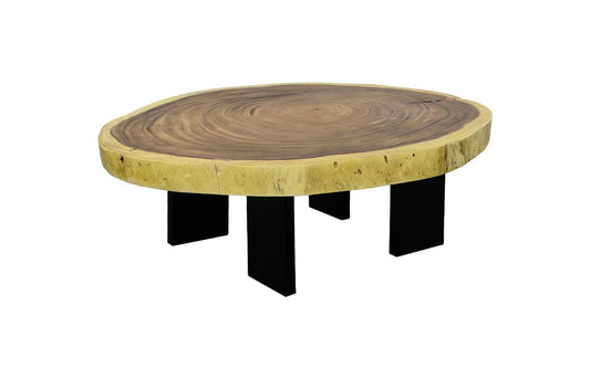 Phillips Collection - Floating Coffee Table With Black Legs, Natural, Size Varies - TH113103 view 1