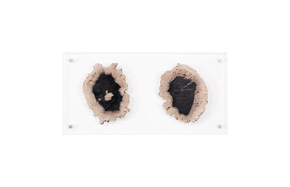 Phillips Collection - Floating Petrified Double Slice Wall Art - ID97237 view 1