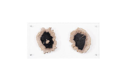Phillips Collection - Floating Petrified Double Slice Wall Art - ID97237 view 1