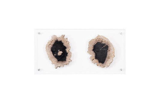 Phillips Collection - Floating Petrified Double Slice Wall Art - ID97237 view 1