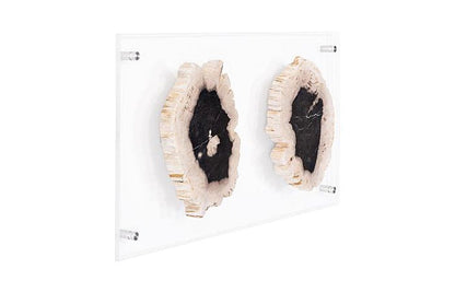 Phillips Collection - Floating Petrified Double Slice Wall Art - ID97237 view 2