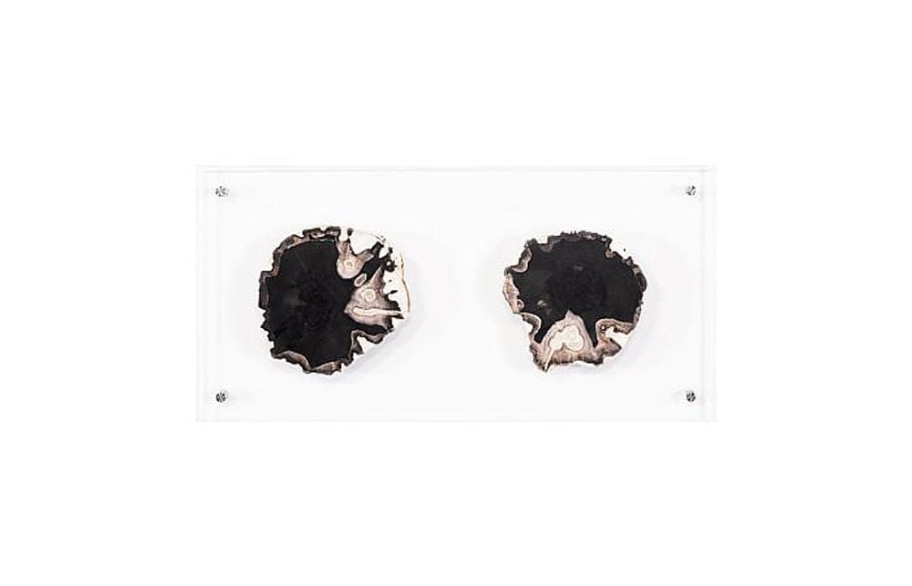 Phillips Collection - Floating Petrified Double Slice Wall Art - ID97237 view 4