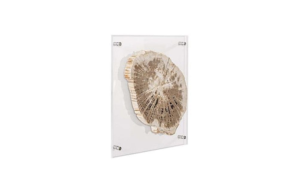 Phillips Collection - Floating Petrified Slice Wall Art, Assorted - ID97236 view 2