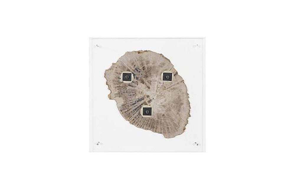 Phillips Collection - Floating Petrified Slice Wall Art, Assorted - ID97236 view 4