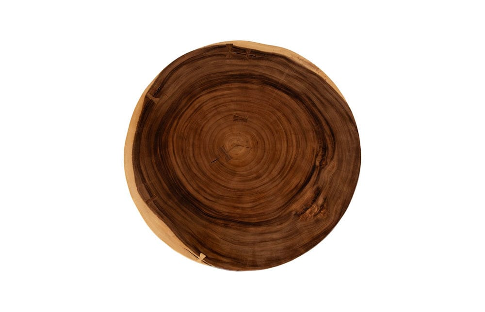 Phillips Collection - Floating Round Coffee Table With Acrylic Legs, Natural - TH119069 view 2