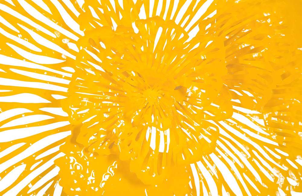 Phillips Collection - Flower Wall Art, Medium, Dandelion, Metal - TH83078 veiw 3