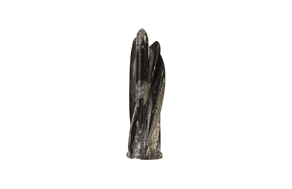 Phillips Collection - Fossilized Squid Sculpture, Assorted - MA87549 veiw 1