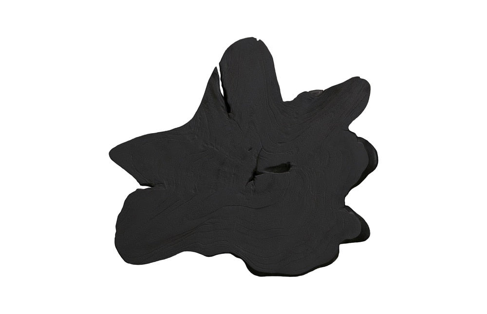 Phillips Collection - Freeform Teak Wall Slice, LG, Black - ID114687 veiw 1