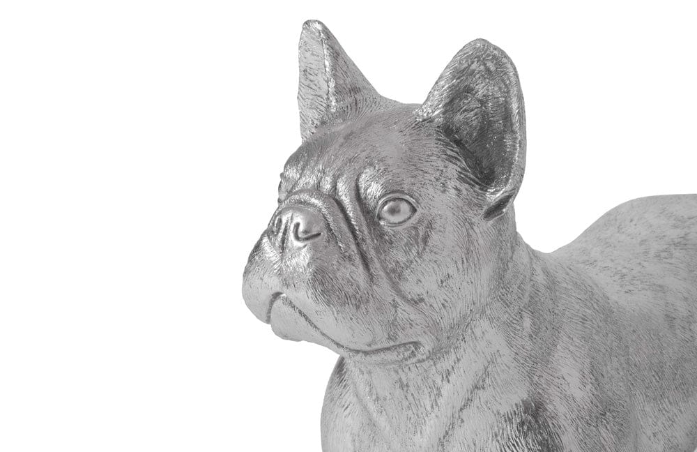 Phillips Collection - French Bulldog, Silver - PH99970 view 4