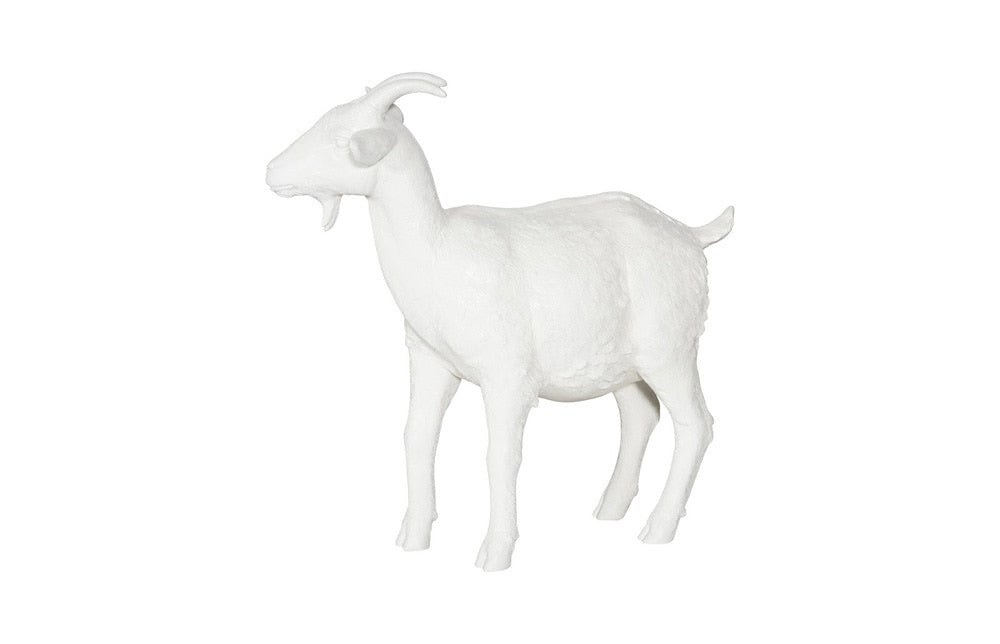 Phillips Collection - Goat, Off White - PH60872 veiw 1