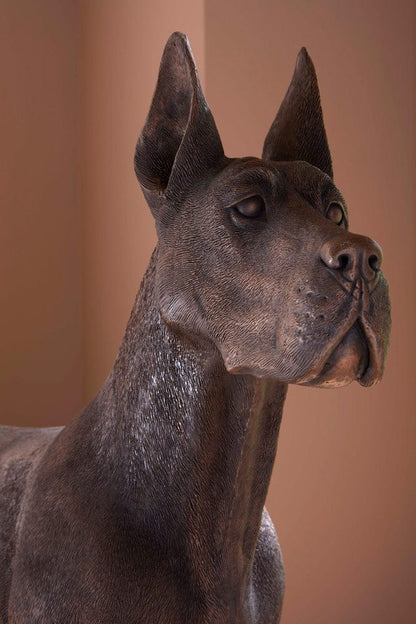 Phillips Collection - Great Dane, Standing , Bronze - PH119127 view 5