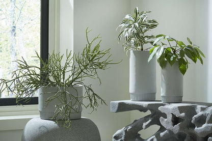 Phillips Collection - Harvest Planter, Large, Light Gray - PH100220 veiw 2