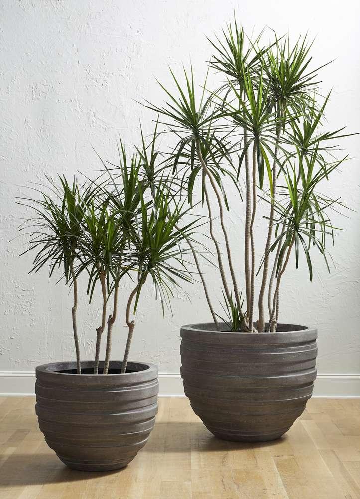 Phillips Collection - June Planter, Raw Gray, SM - PH105216 veiw 4