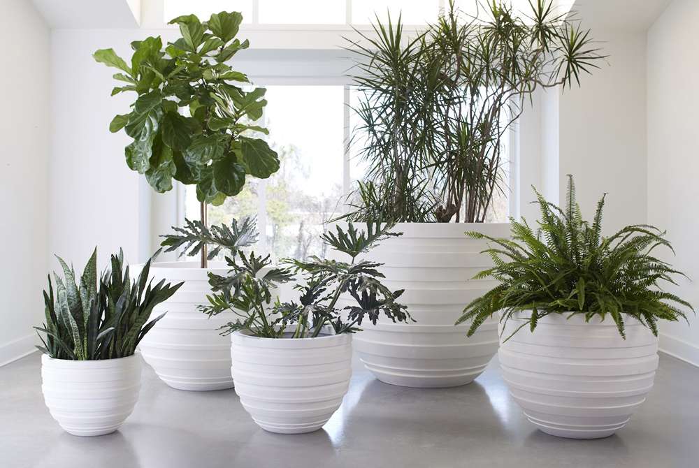 Phillips Collection - June Planter, White, XS - PH100218 veiw 3