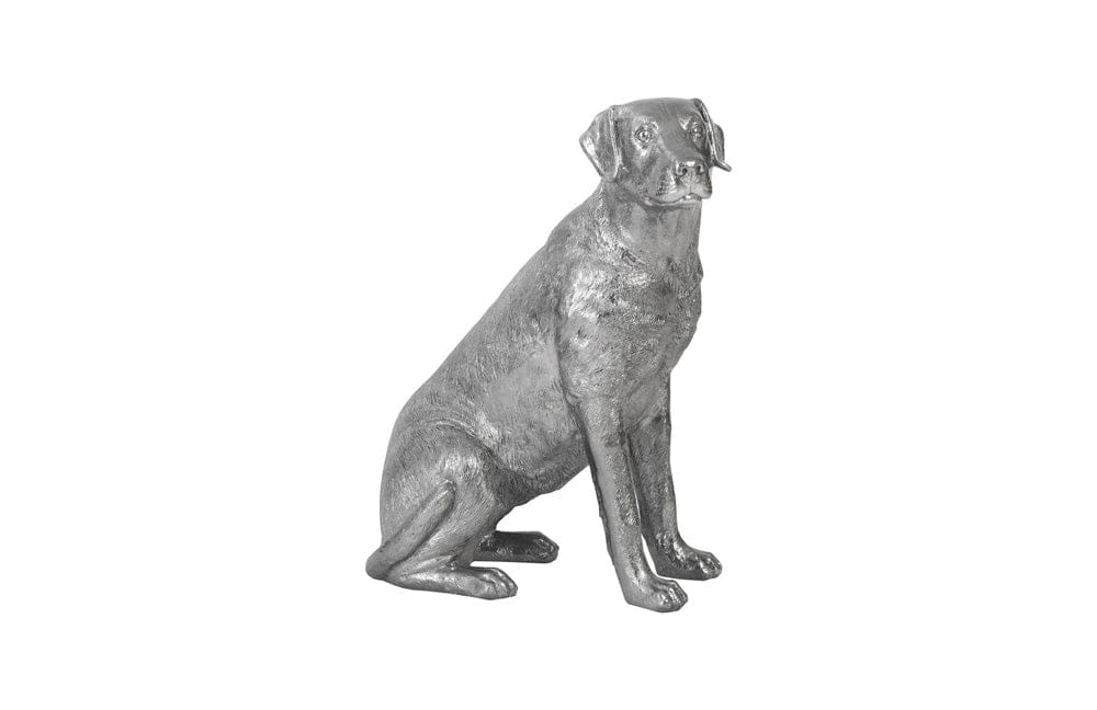 Phillips Collection - Labrador, Liquid Silver - PH95581 view 1