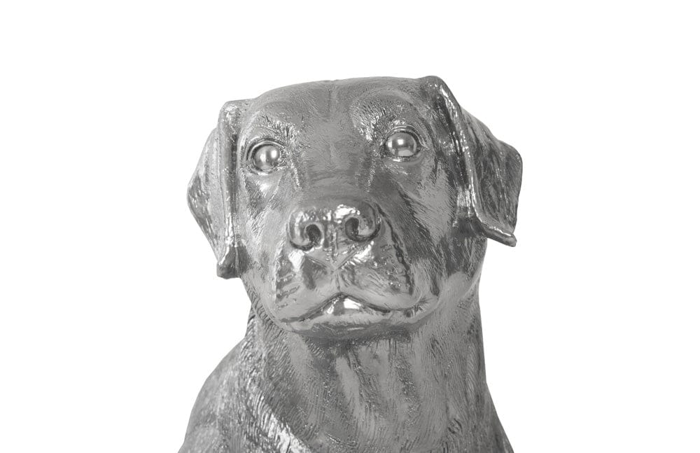 Phillips Collection - Labrador, Liquid Silver - PH95581 view 2