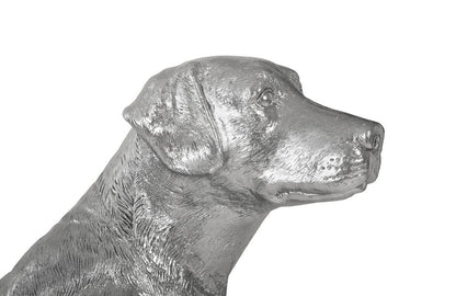 Phillips Collection - Labrador, Liquid Silver - PH95581 view 3