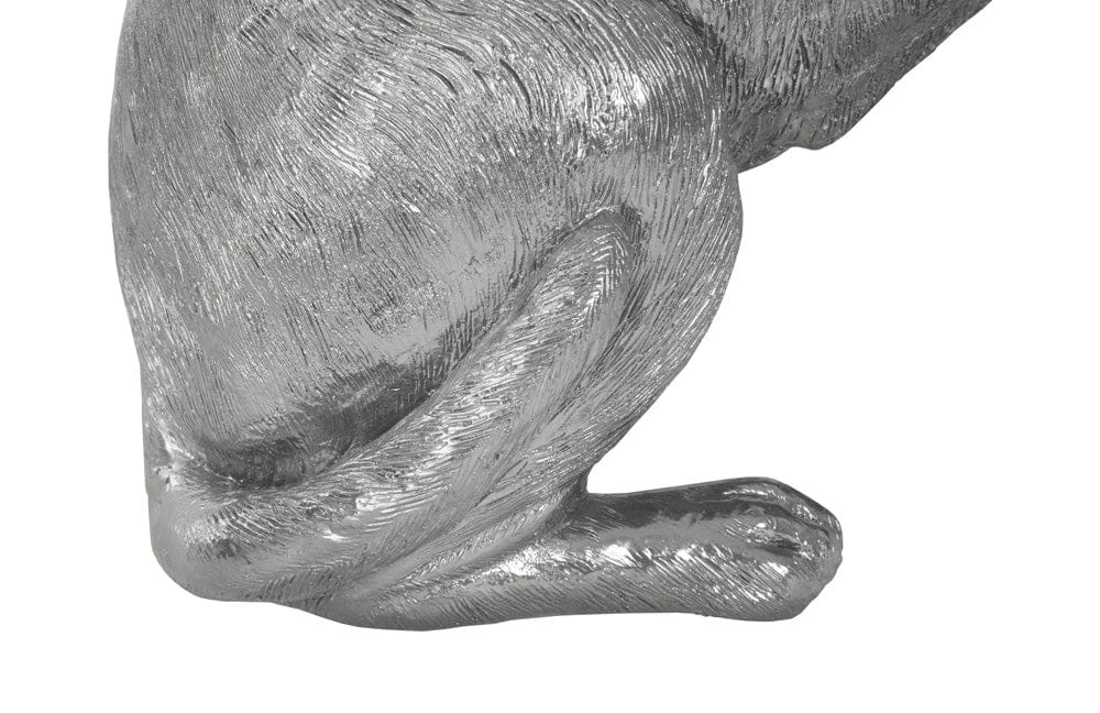 Phillips Collection - Labrador, Liquid Silver - PH95581 view 4