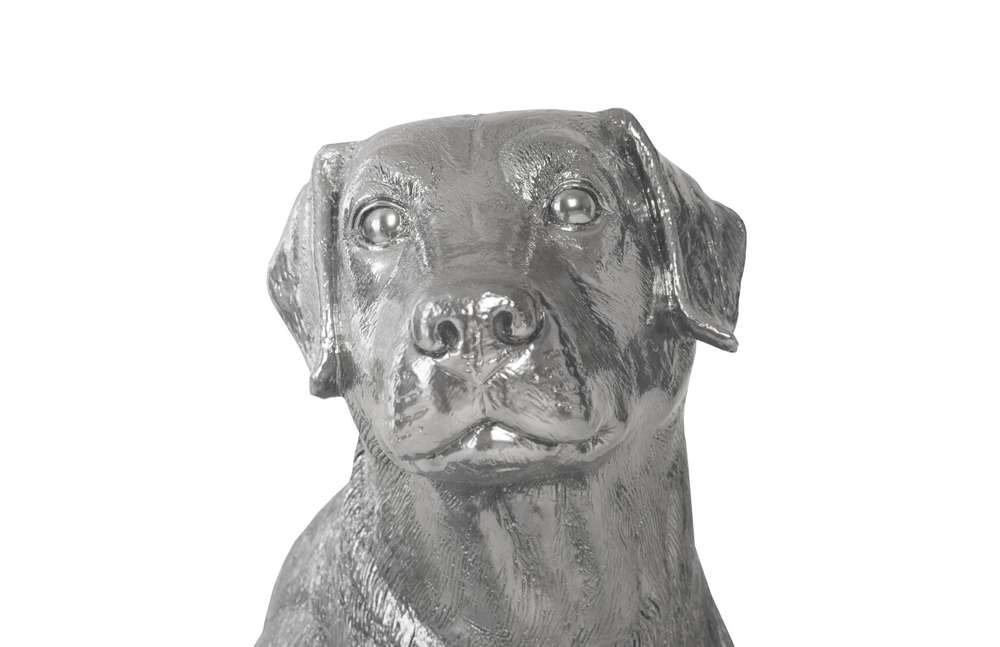Phillips Collection - Labrador, Liquid Silver - PH95581 veiw 2